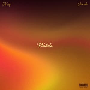 WAHALA (FEAT. OLAMIDE) by CKay, Olamide