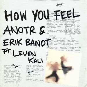 How You Feel (Ft. Leven Kali) by ANOTR, Erik Bandt, Leven Kali