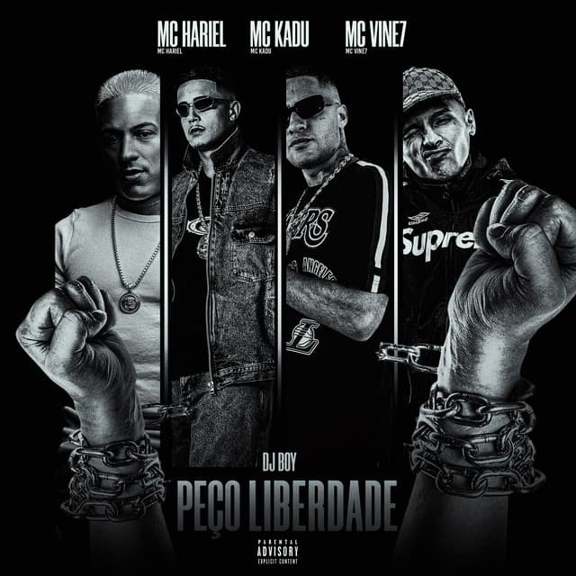 Peço Liberdade by DJ BOY, Mc Kadu, MC Vine7
