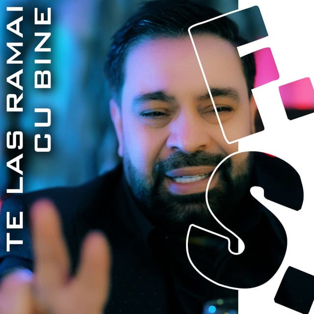 Te las ramai cu bine by Florin Salam