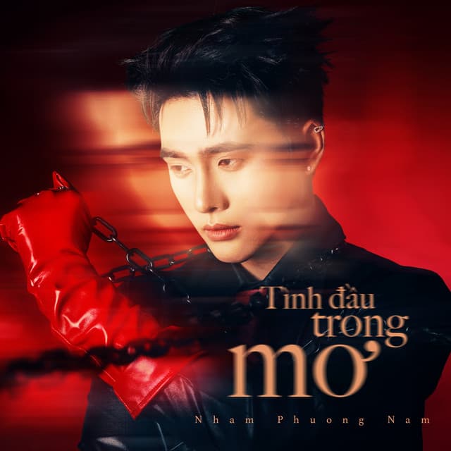 Tình Đầu Trong Mơ by Nhâm Phương Nam