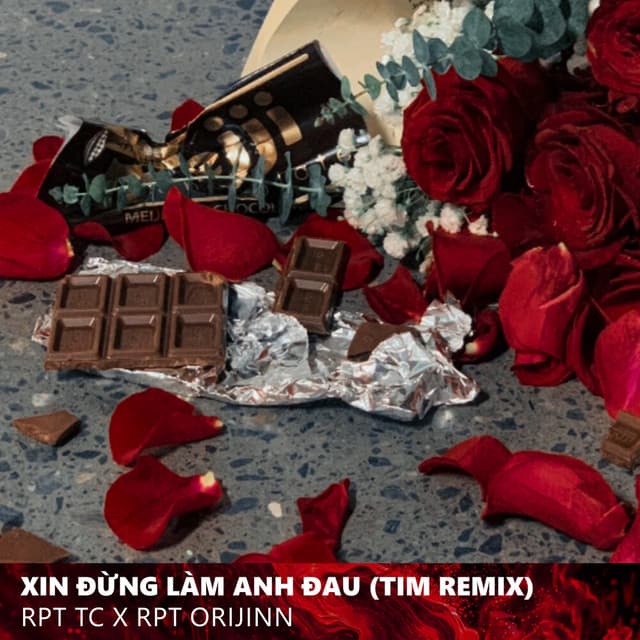 Xin Đừng Làm Anh Đau (TIM Remix) by RPT Orijinn, RPT TC, TIM