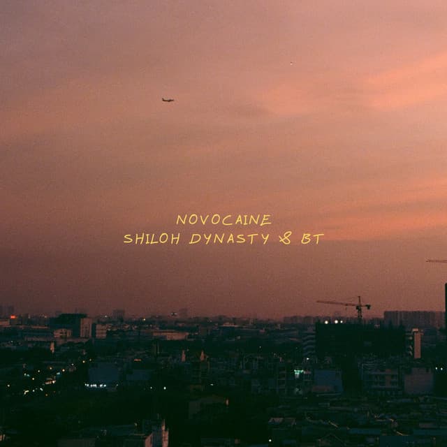 Novocaine by Shiloh Dynasty, ​BT, Balaniewkor Thangkhiew