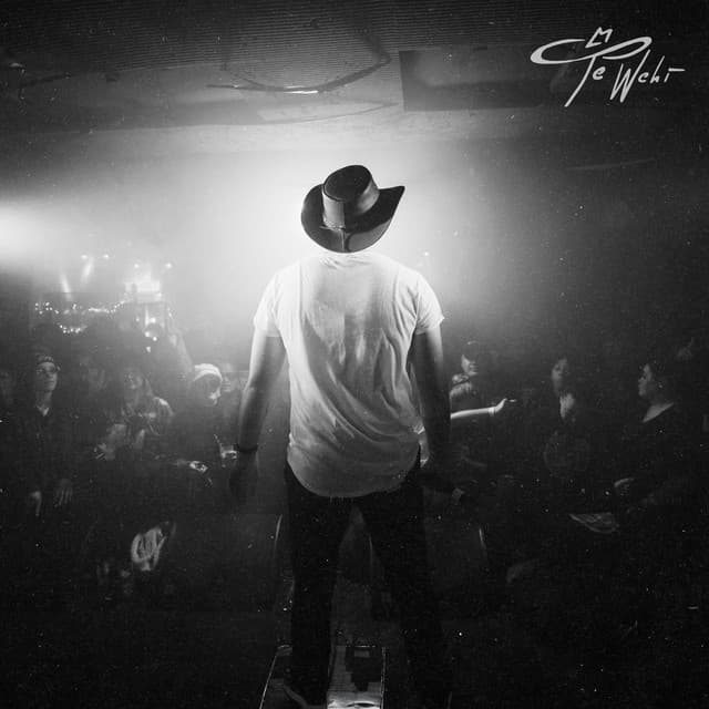 Down to the Wire by Te Wehi