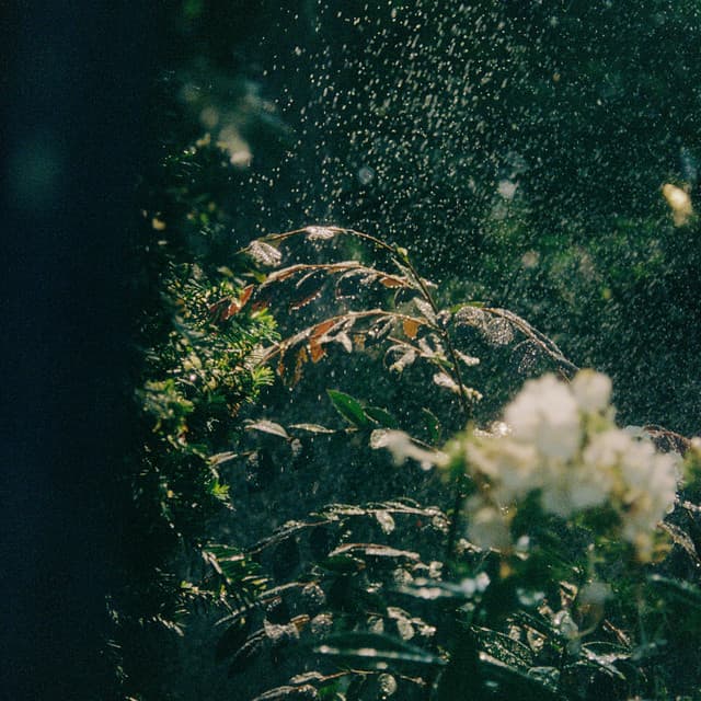 運命さがし EP by Macaroni Empitsu