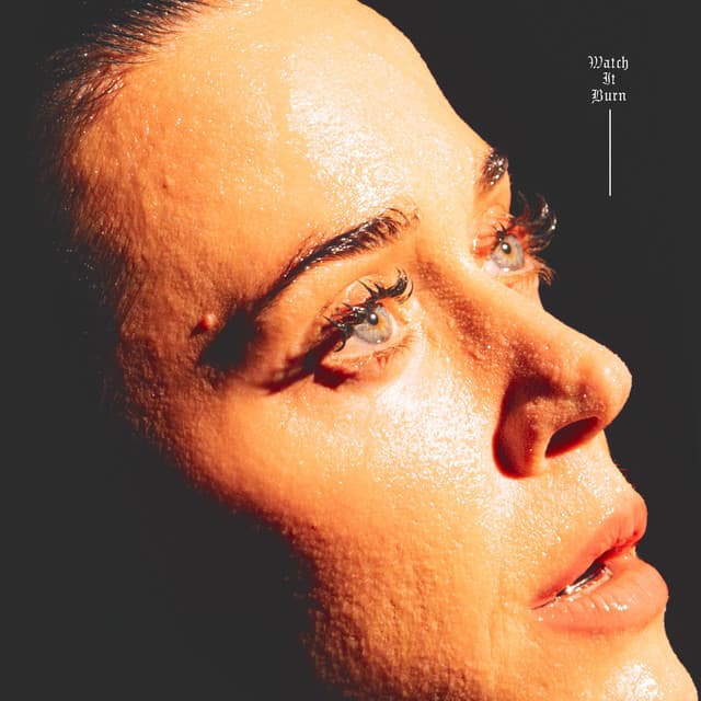 Watch It Burn by Katy Perry