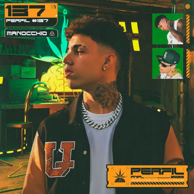 Perfil #137 Campo mais belo by Pineapple StormTv, Manocchio, prodbyPiero