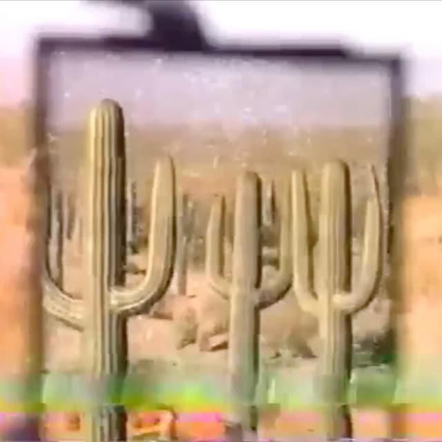 RoadHouse by BONES, Drew The Architect