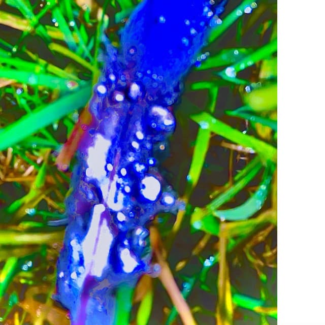 (IŠ) GYVENIMO by Tautvydas Burauskas