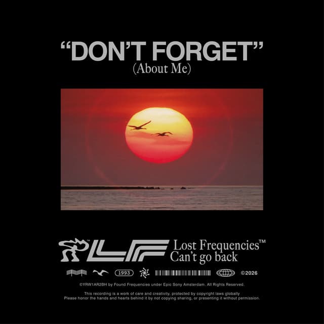 Don't Forget (About Me) by Lost Frequencies