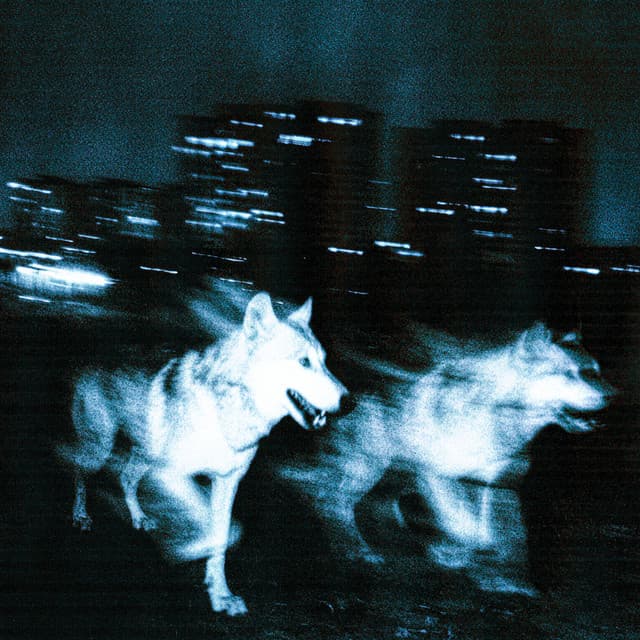 Les bases by Djadja & Dinaz