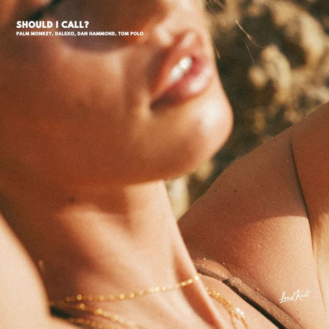 SHOULD I CALL? by Palm Monkey, DALEXO, Dan Hammond, Tom Polo