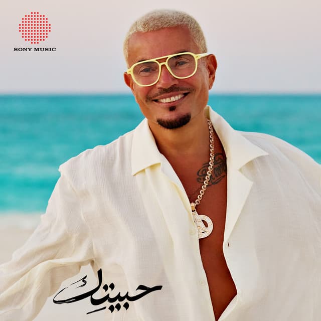 Habeitek by Amr Diab