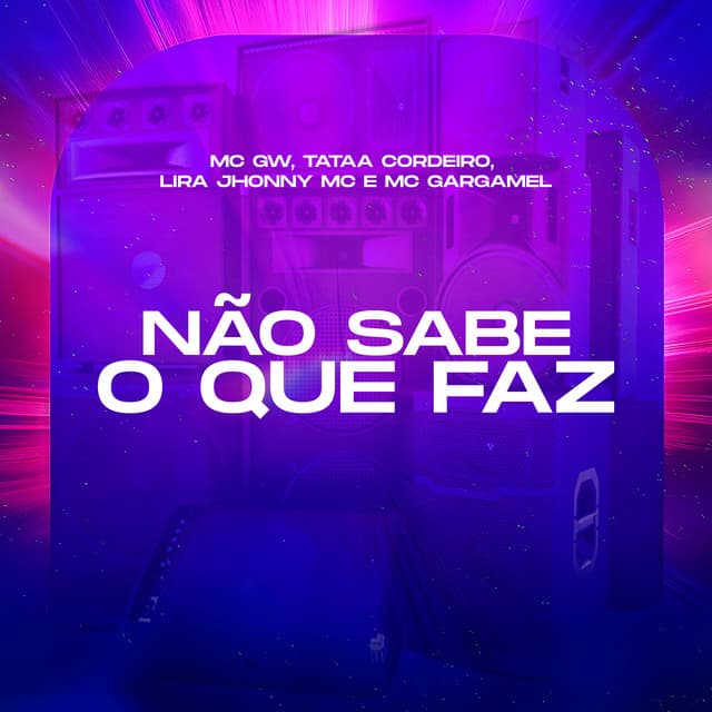 Não Sabe o Que Faz by Mc Gw, Tataa Cordeiro, Lira Johnny Mc, MC Gargamel