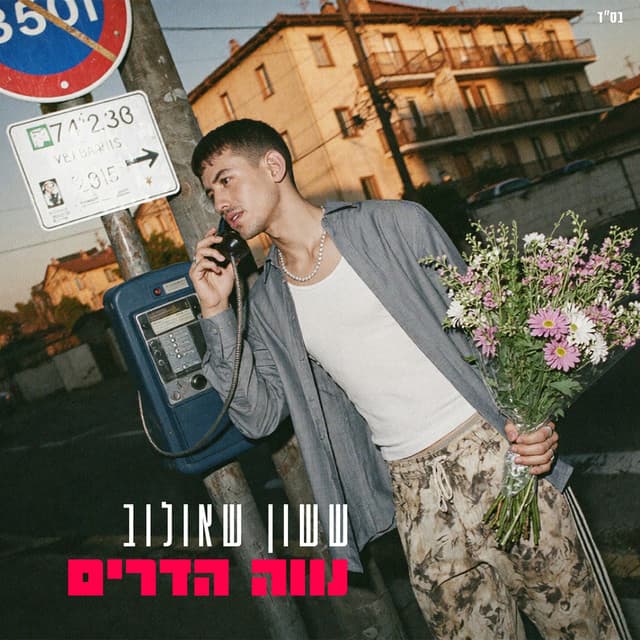 נווה הדרים by ששון איפרם שאולוב