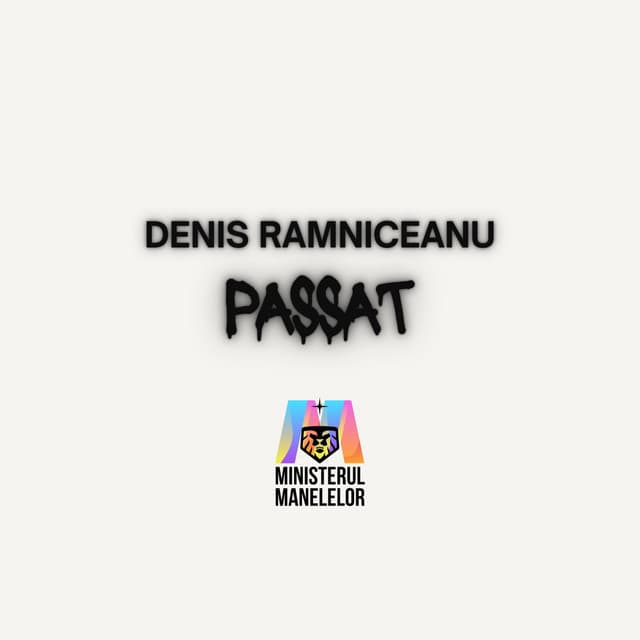 Passat by Denis Ramniceanu