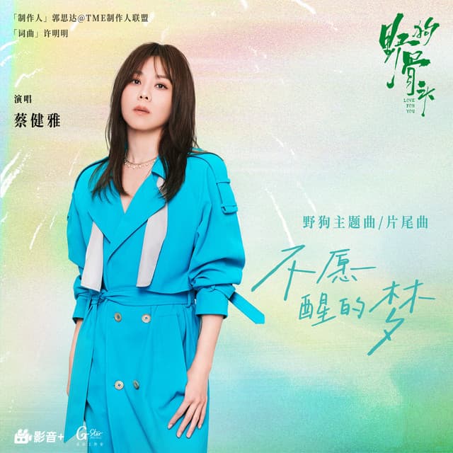 不愿醒的梦 (《野狗骨头》电视剧野狗主题曲/片尾曲) by Tanya Chua