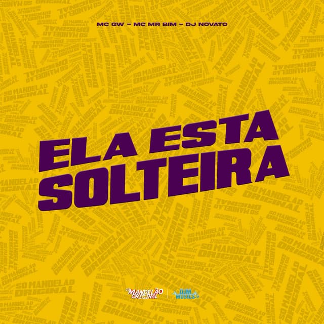 Ela Esta Solteira by Mc Gw, Mc Mr. Bim, DJ NOVATO