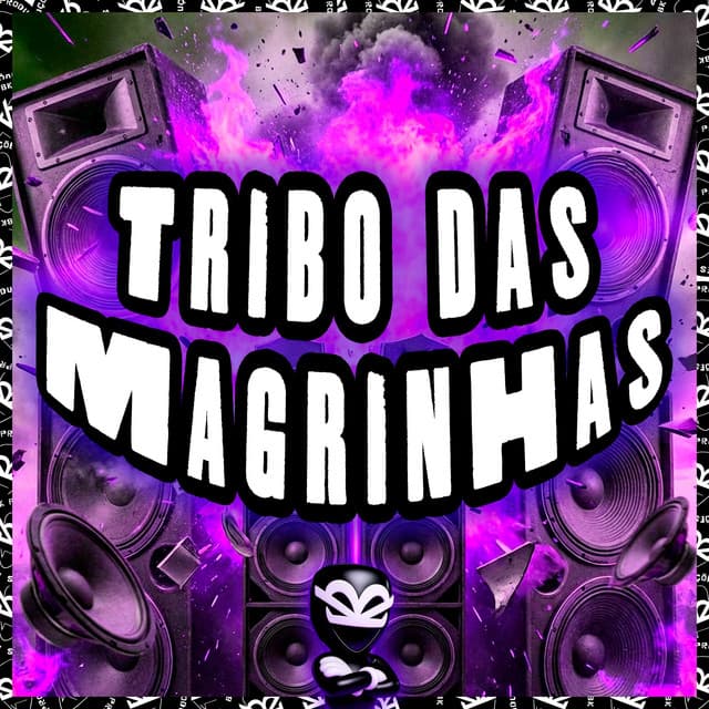 TRIBO DAS MAGRINHAS by MC Nito, BK2P, DJ 2S DAS CASINHAS