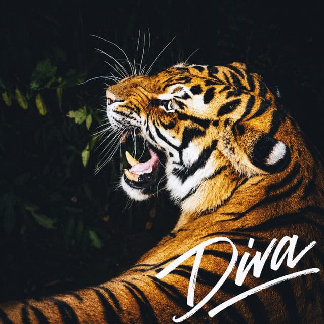 Diva by Burak Bulut