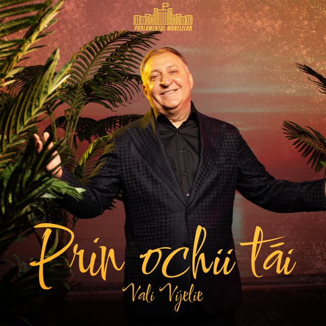 Prin ochii tăi by Vali Vijelie, Parlamentul Manelelor
