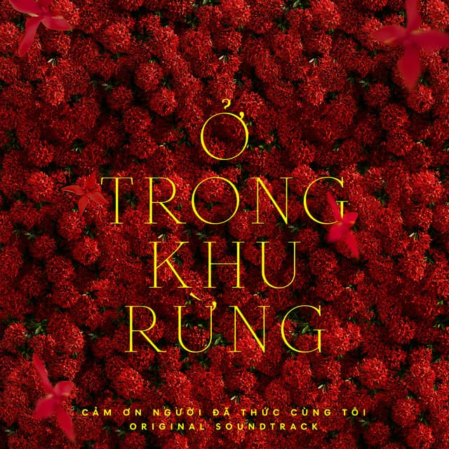 Ở Trong Khu Rừng (From "Cảm Ơn Người Đã Thức Cùng Tôi" Original Soundtrack) by Nguyễn Hùng, 30 Pictures