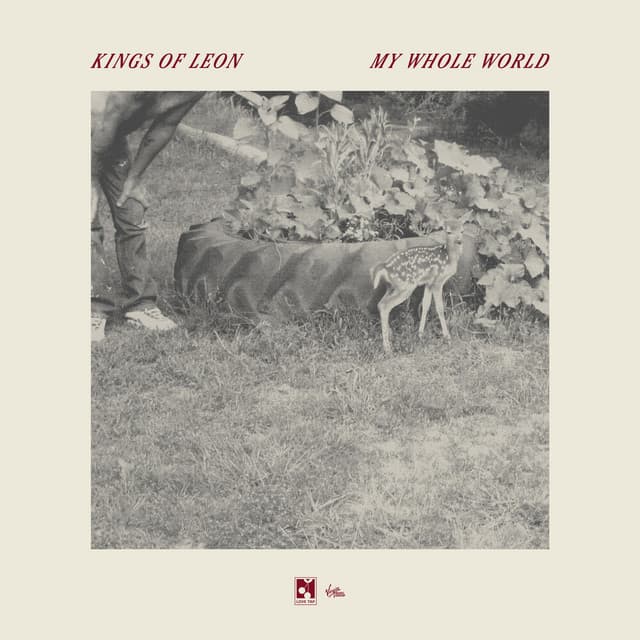 My Whole World by Kings of Leon