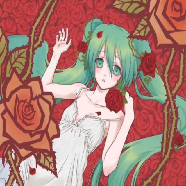 Vortex by Hatsune Miku, 泪佳