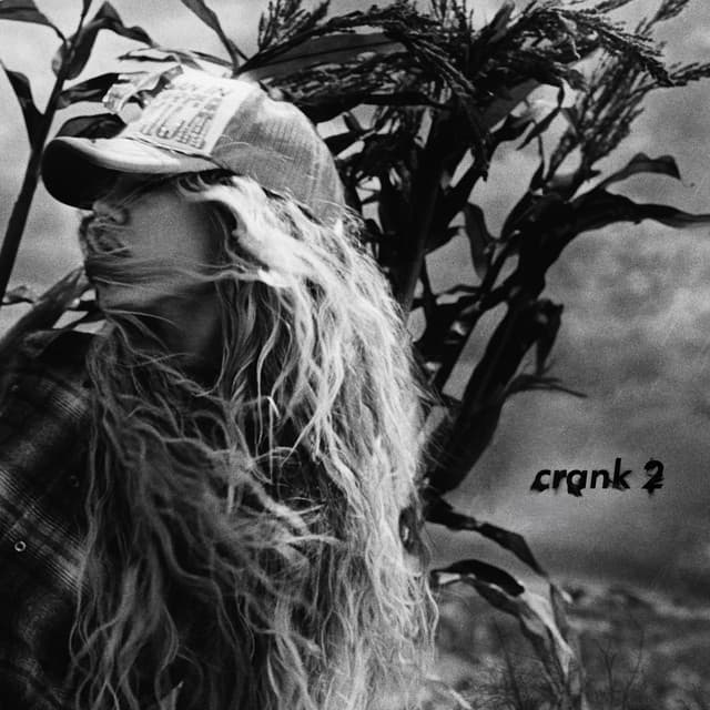crank 2 by Slayyyter