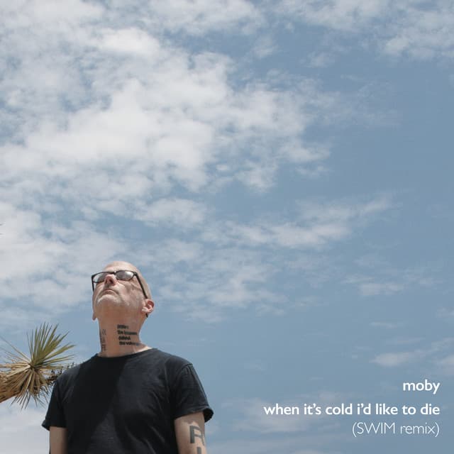 When It's Cold I'd Like to Die (SWIM Remix) by Moby, SWIM