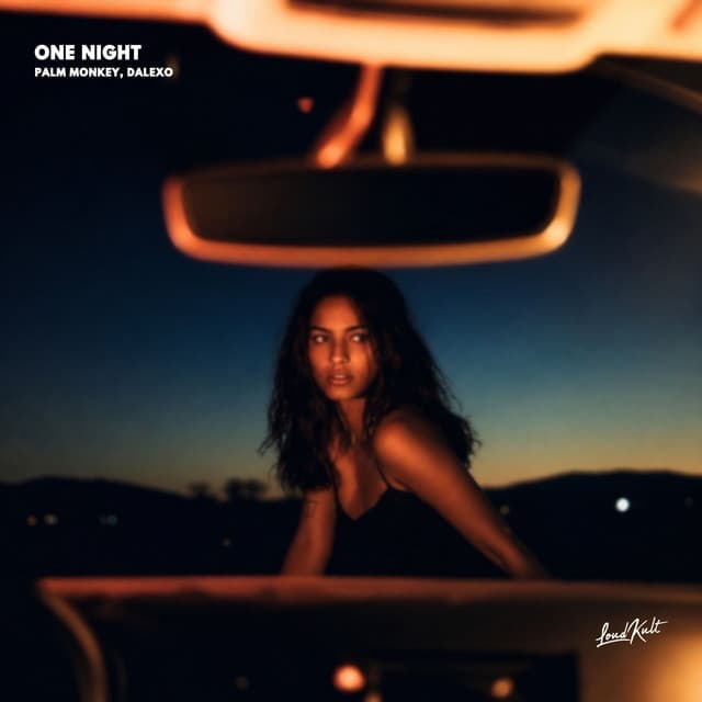 ONE NIGHT by Palm Monkey, DALEXO