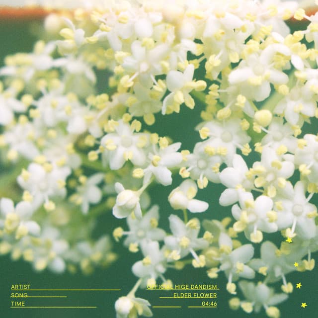 Elderflower by OFFICIAL HIGE DANDISM