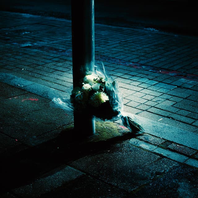 Artık Sen Yoksun by Poizi