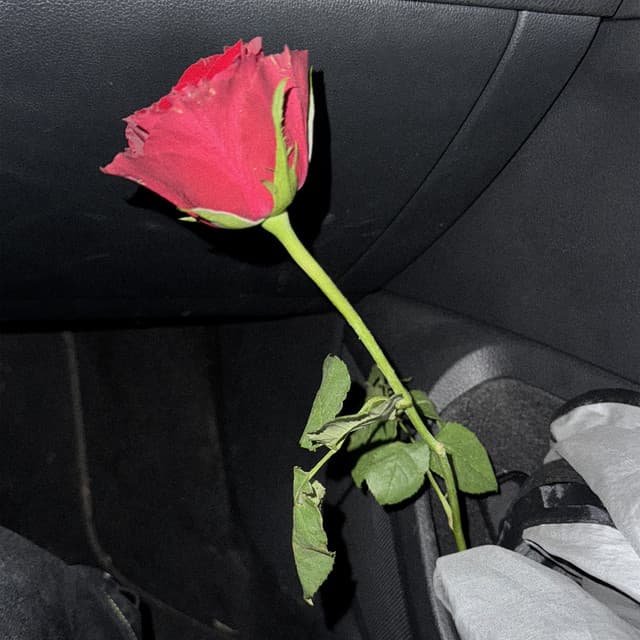 M'AMA NON M'AMA by Madame