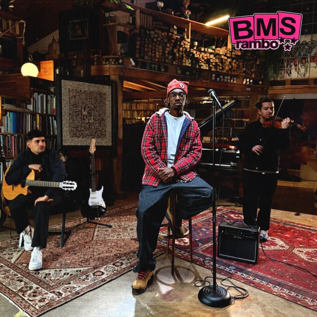 B.M.S (version acoustique) by Rambo goyard