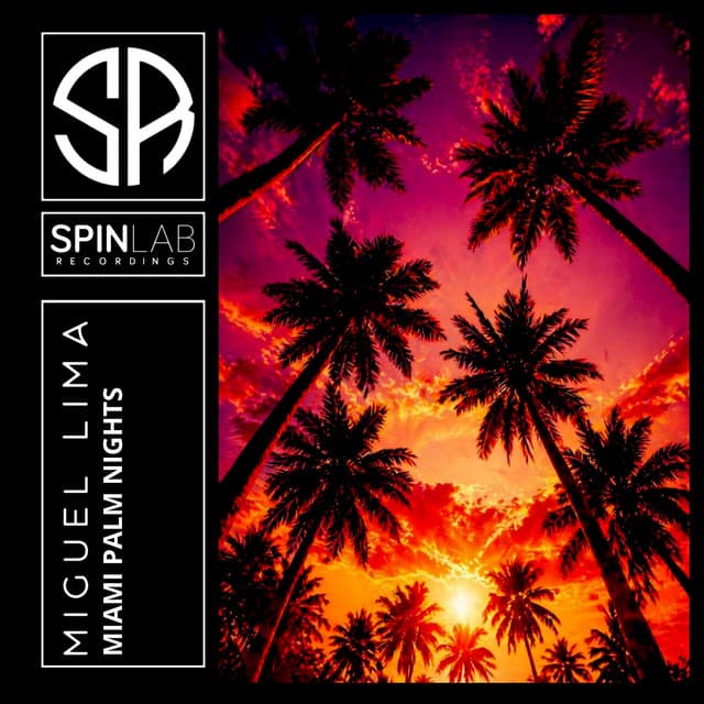 Miami Palm Nights by Miguel Lima