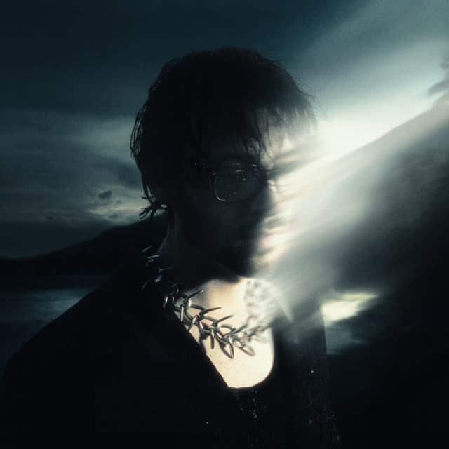 ANOTHER LIFE by Chris Grey