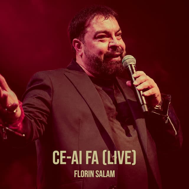 ce-ai fa (Live) by Florin Salam