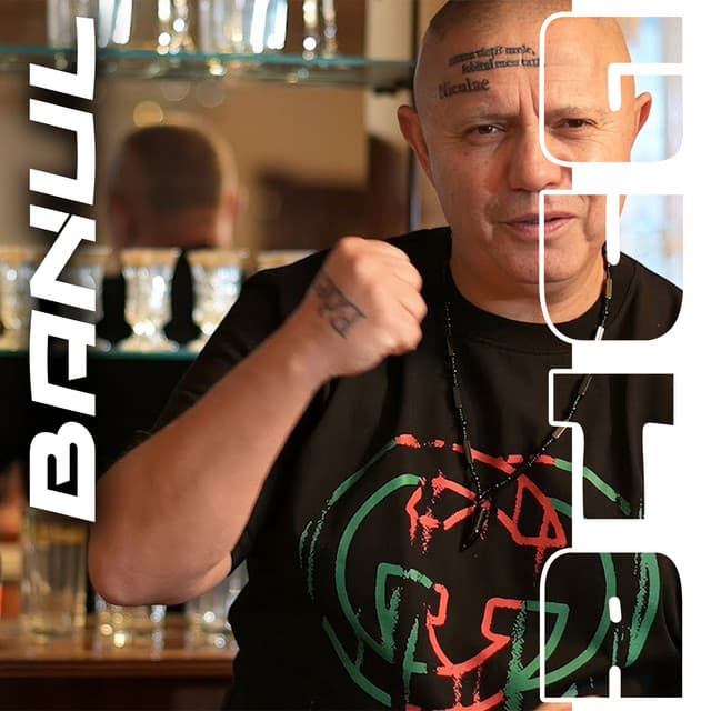 Banul by Nicolae Guta