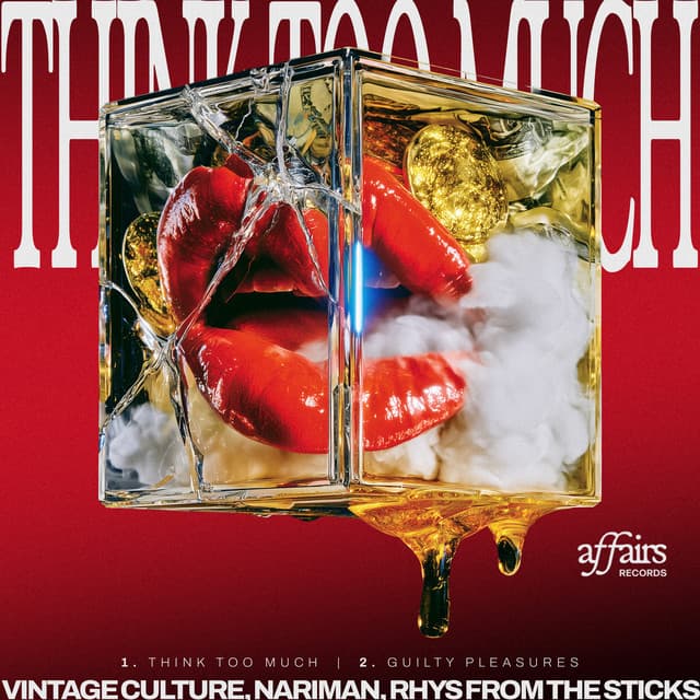 Think Too Much EP by Vintage Culture, rhys from the sticks, Nariman