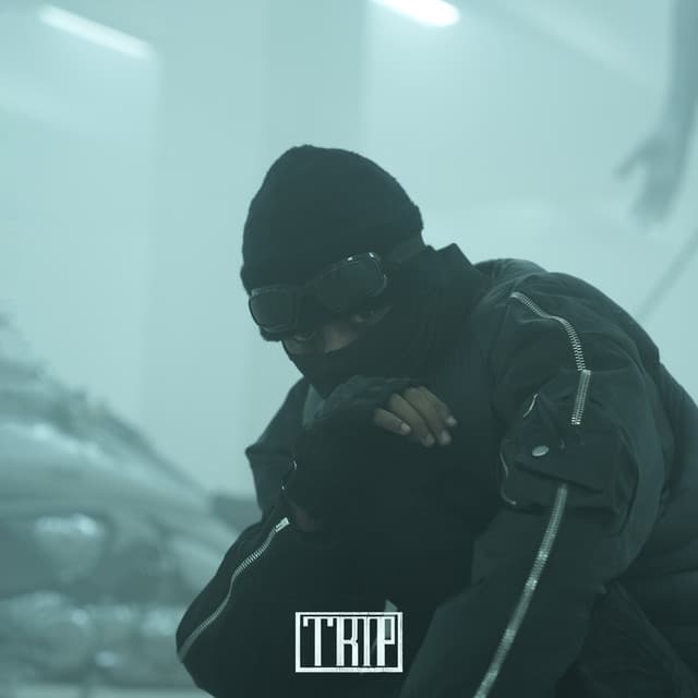 TRIP by Afroto