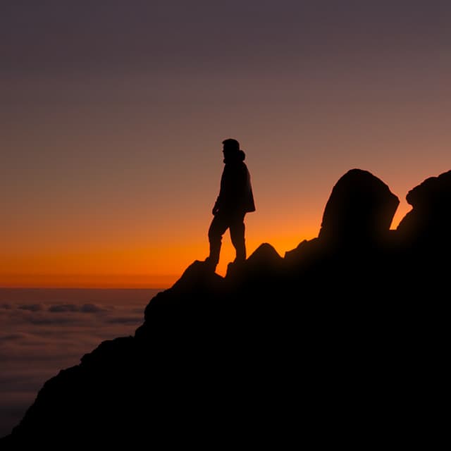 Catharina by Martin Garrix