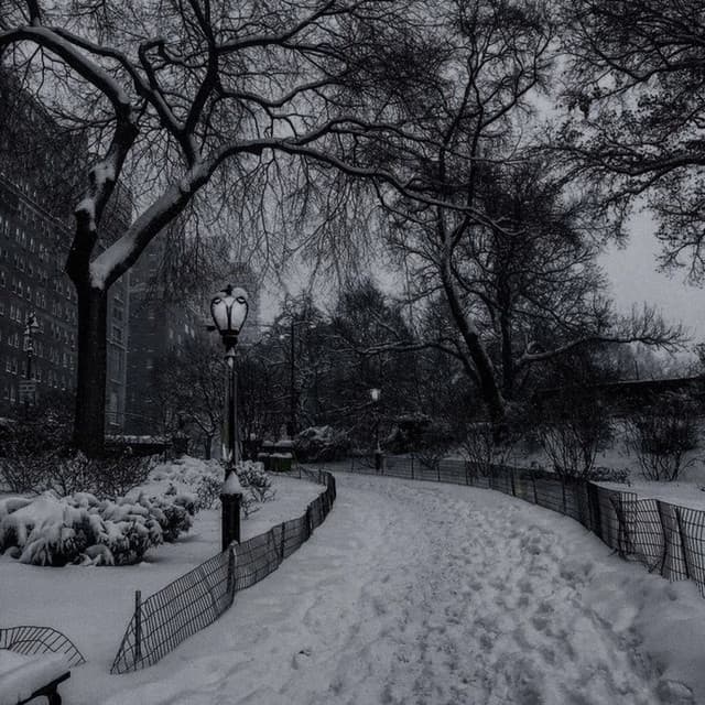 в последний раз (for the last time) by verana