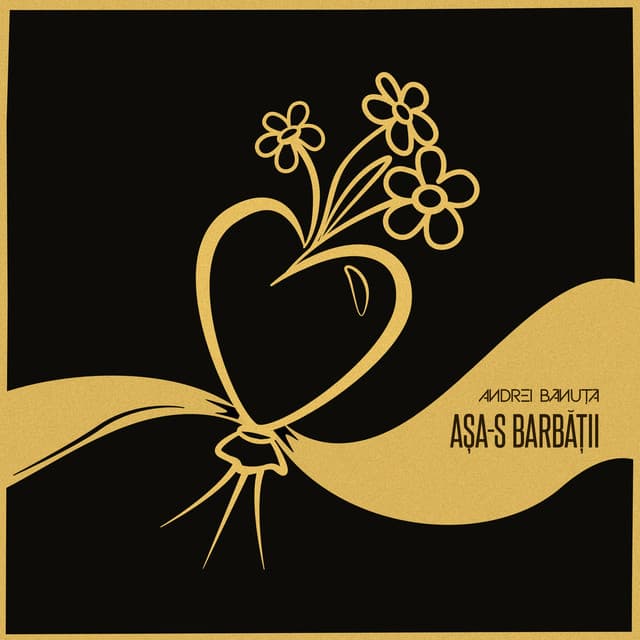 Asa-s barbatii by Andrei Banuta