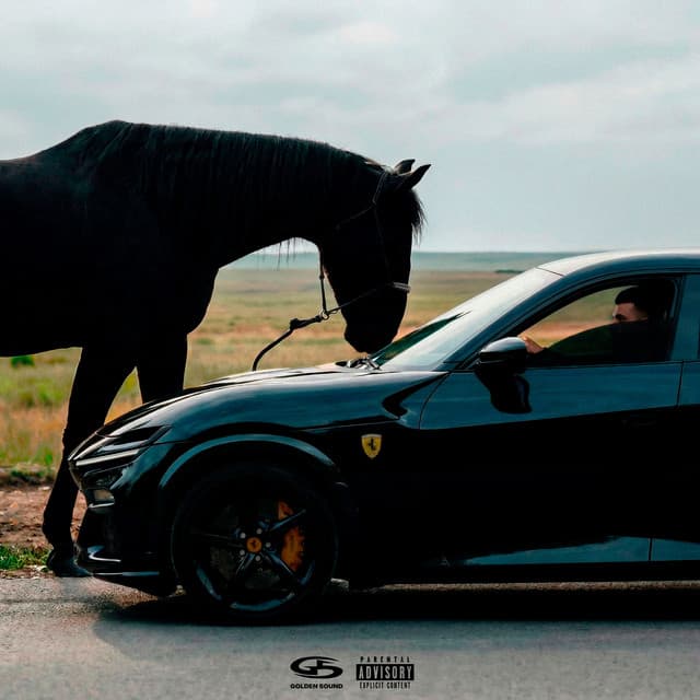 Purosangue by Jakone