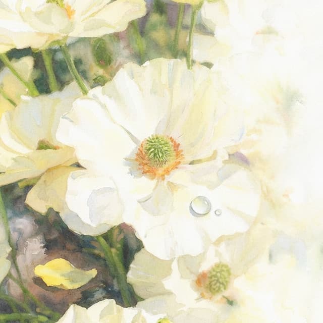 アネモネ by Novelbright