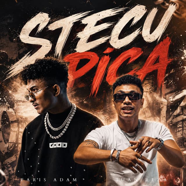 STECU PICA by Juan Reza, Faris Adam