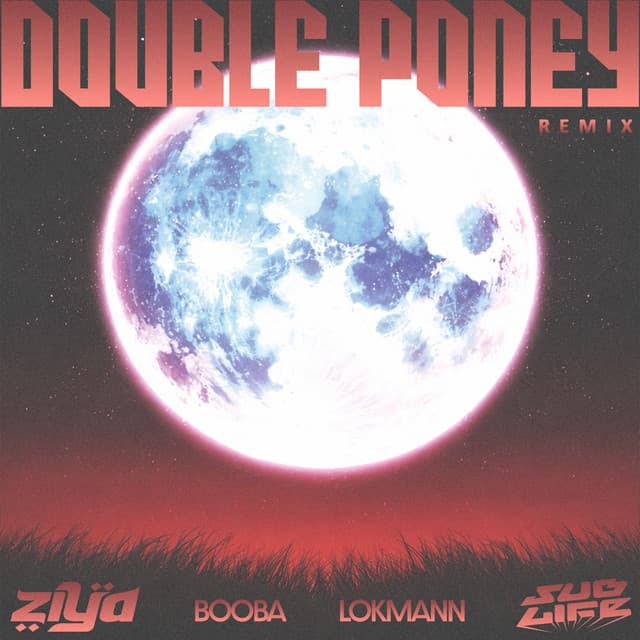 Double Poney (Remix) by Booba, SubLife, Ziya, LOKMANN