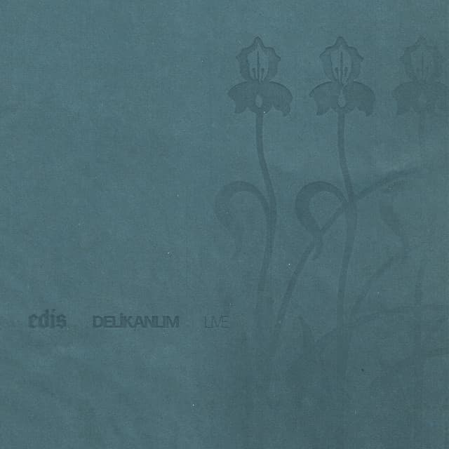 Delikanlım (Live) by EDIS