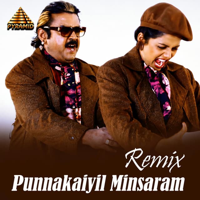 Punnakaiyil Minsaram - Remix by Ilaiyaraaja, Vaali, S. Janaki